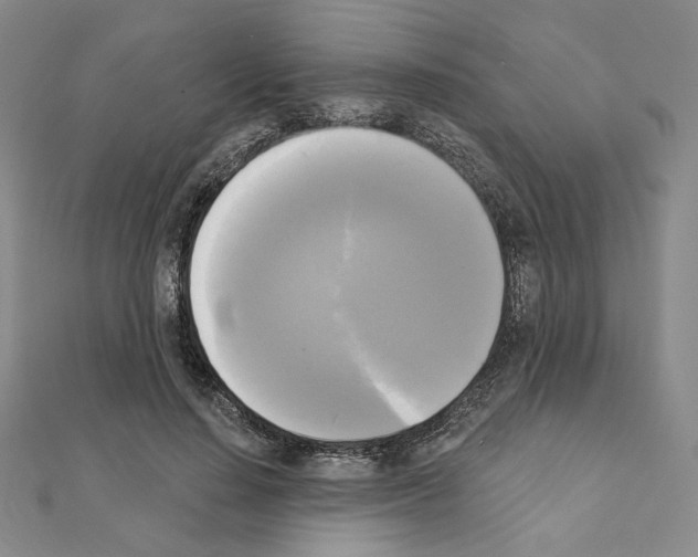 X0000111220644200908131102
