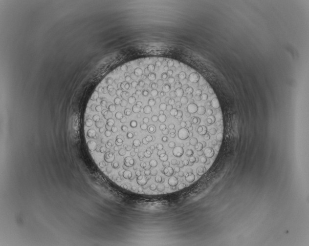 X0000111220646200908131102