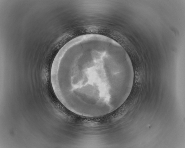 X0000111220648200908131102