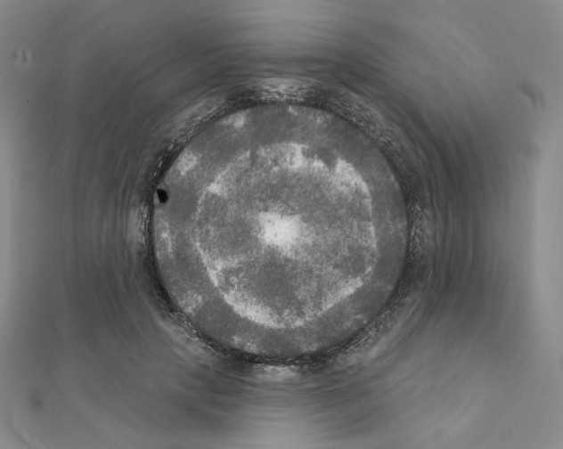 X0000111220649200908131102