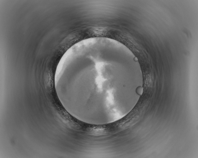 X0000111220651200908131102