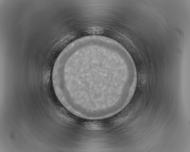 X0000111220652200908131102