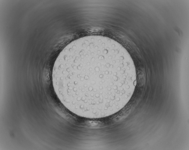 X0000111220654200908131102