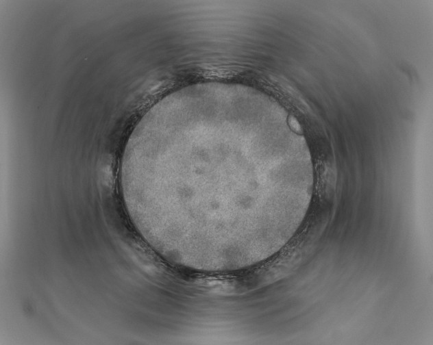 X0000111220655200908131102