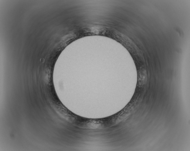 X0000111220656200908131102
