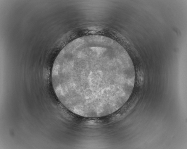X0000111220657200908131102