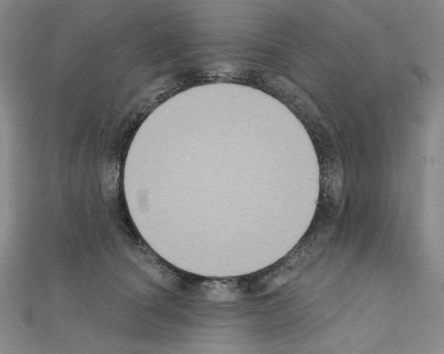 X0000111220660200908131102