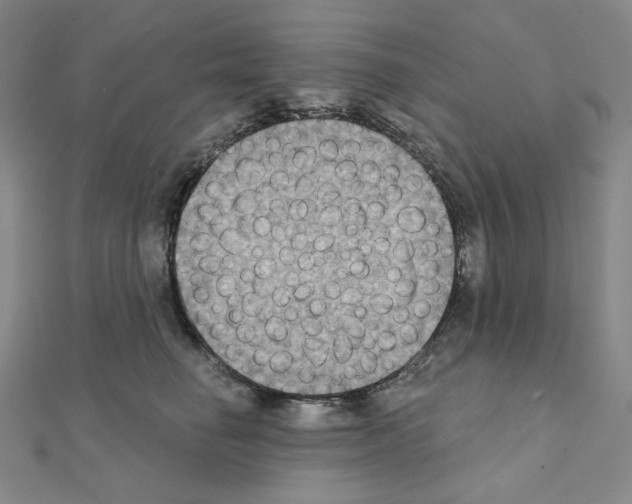 X0000111220662200908131102