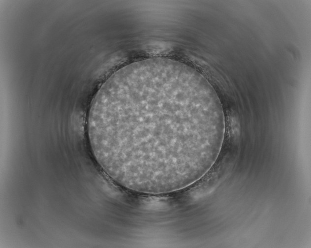 X0000111220664200908131102