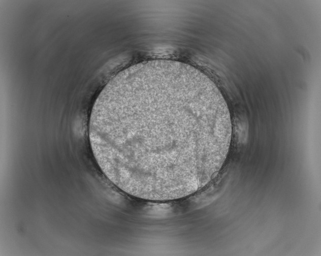 X0000111220665200908131102
