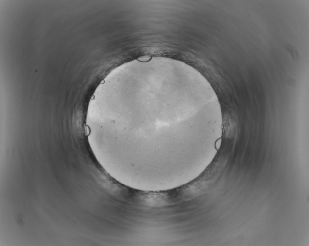 X0000111220670200908131102