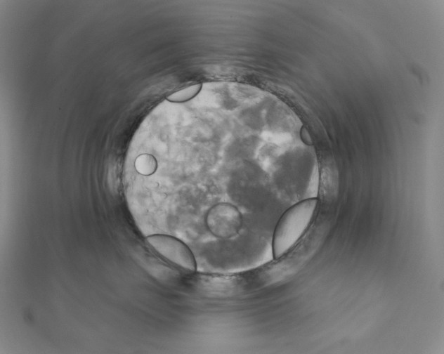 X0000111220671200908131102