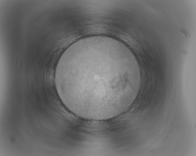 X0000111220672200908131102