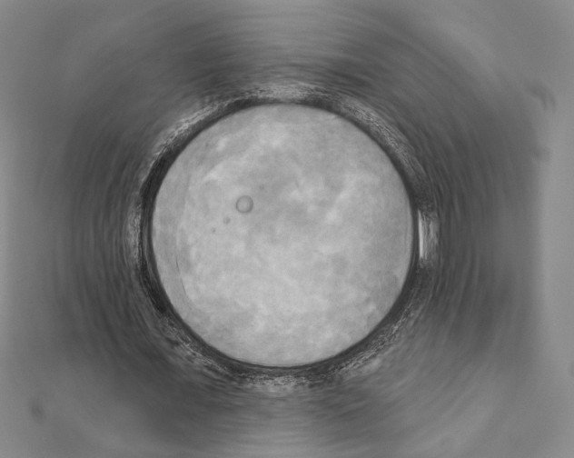 X0000111220675200908131102