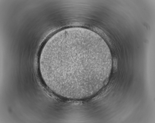 X0000111220676200908131102