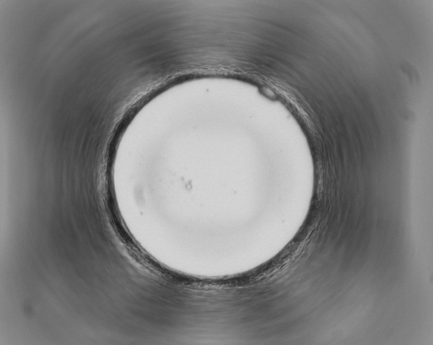 X0000111220677200908131102