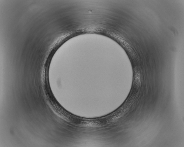 X0000111220678200908131102