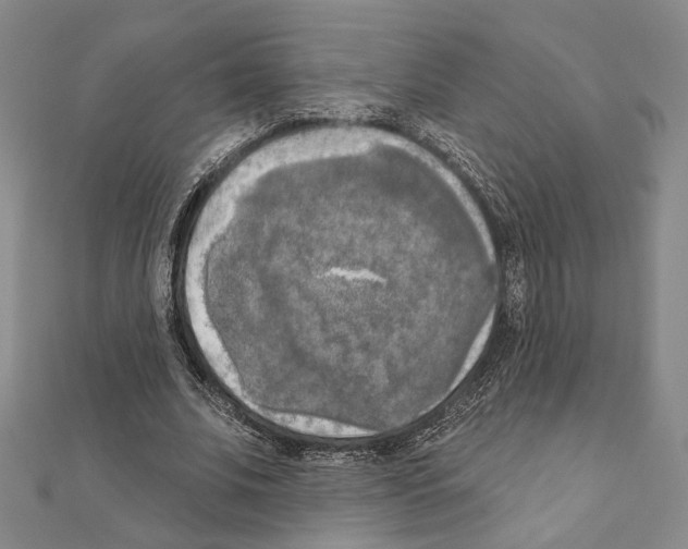 X0000111220679200908131101