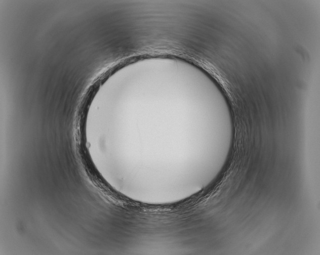 X0000111220680200908131101