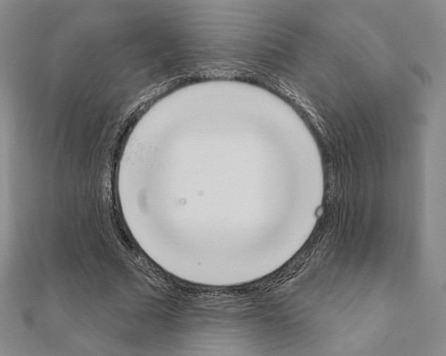 X0000111220681200908131101