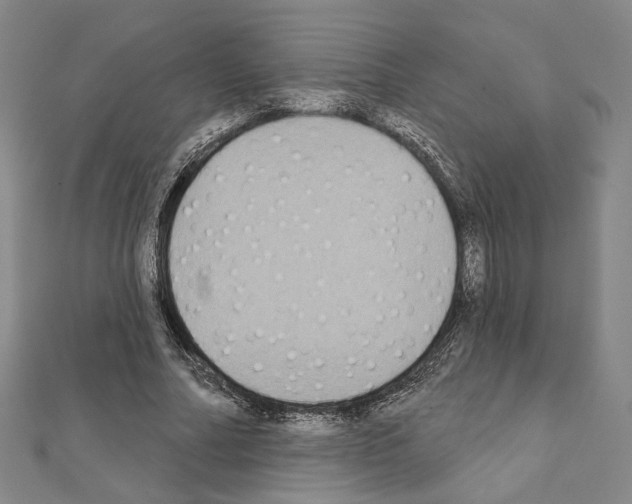 X0000111220682200908131101
