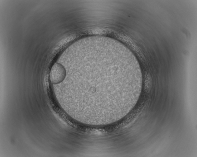 X0000111220683200908131101