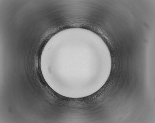 X0000111220685200908131101