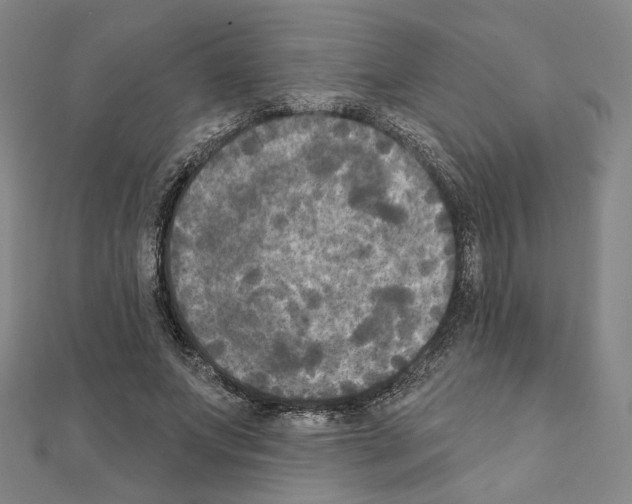 X0000111220687200908131101