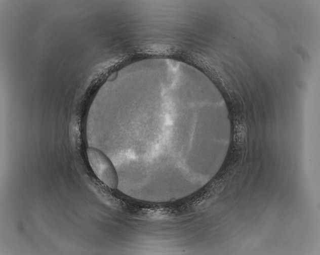 X0000111220688200908131101