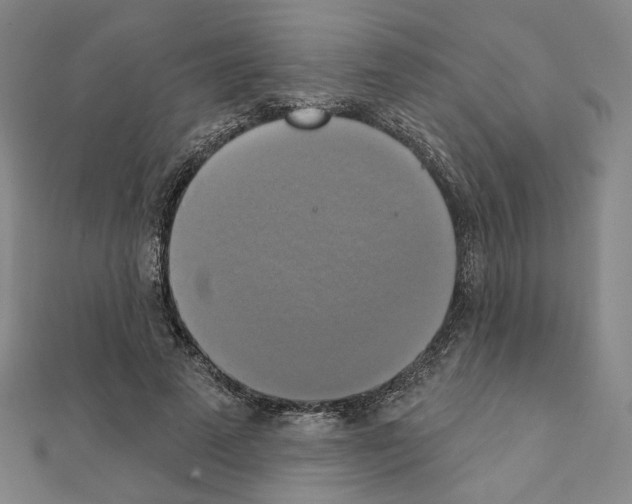X0000111220689200908131101