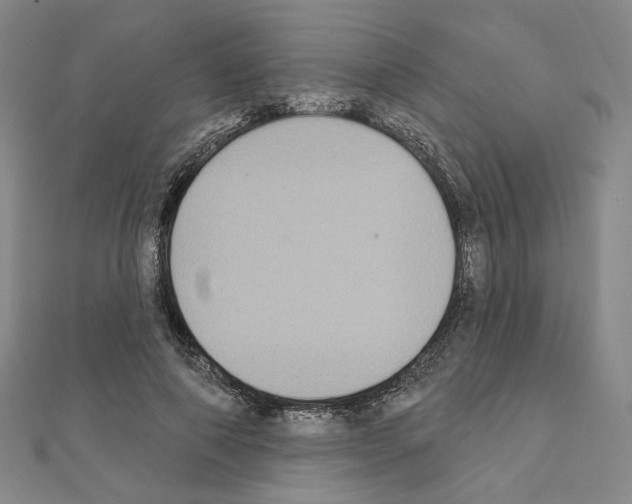X0000111220690200908131101