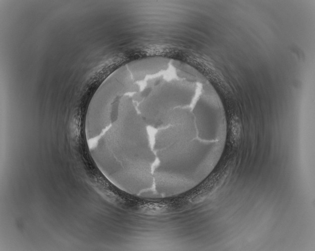 X0000111220691200908131101