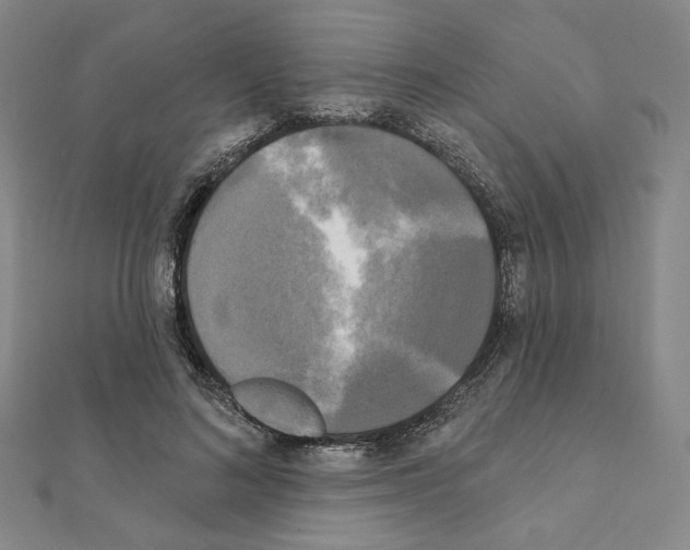 X0000111220692200908131101
