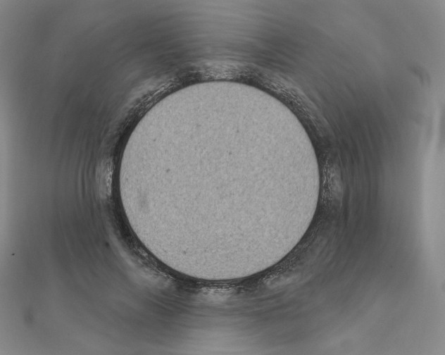 X0000111220694200908131101