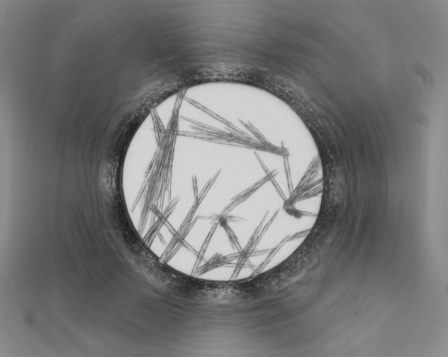 X0000111220695200908131101