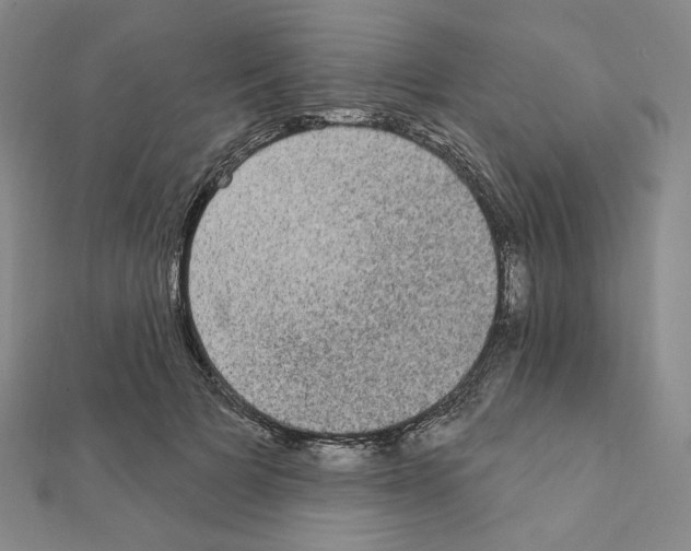 X0000111220697200908131101