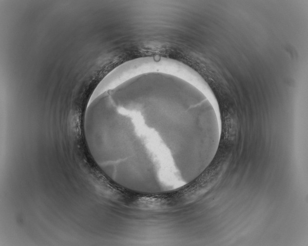 X0000111220699200908131101