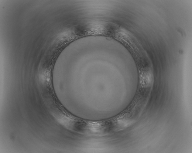 X0000111220701200908131101
