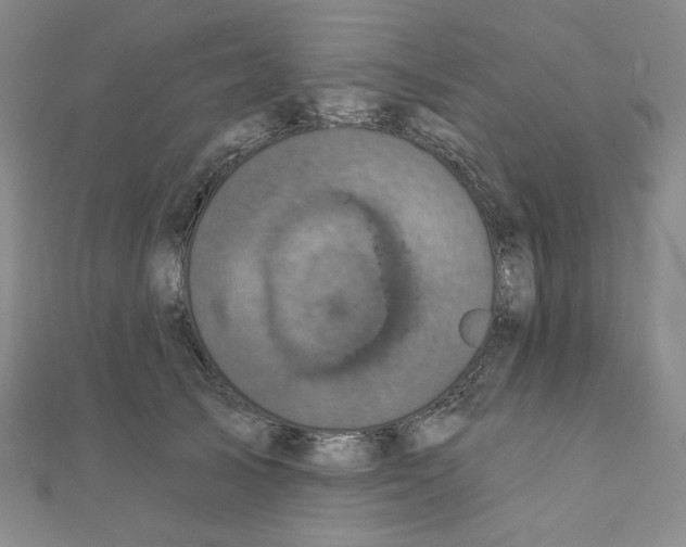 X0000111220705200908131101