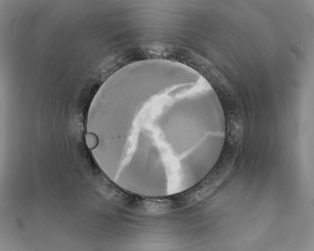 X0000111220707200908131101