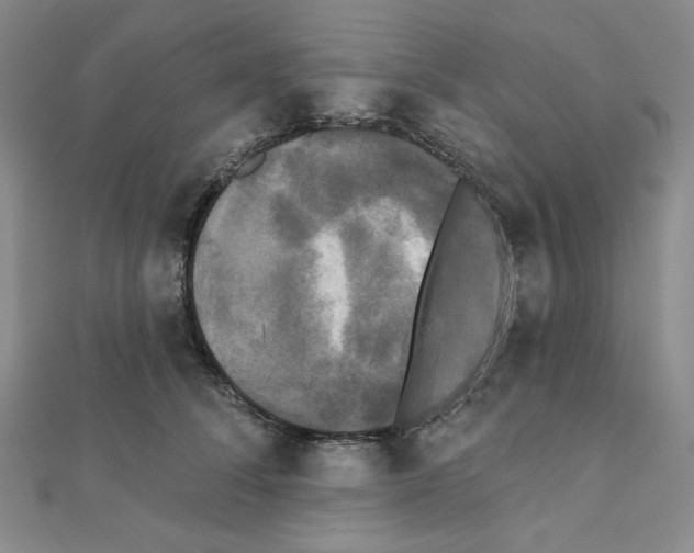 X0000111220708200908131101