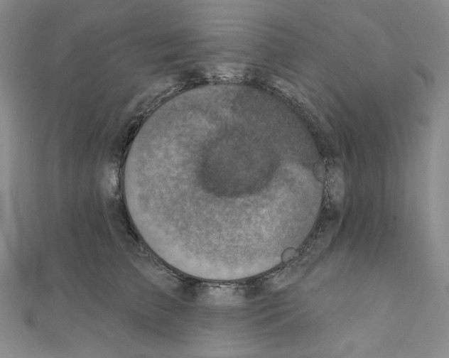 X0000111220709200908131101