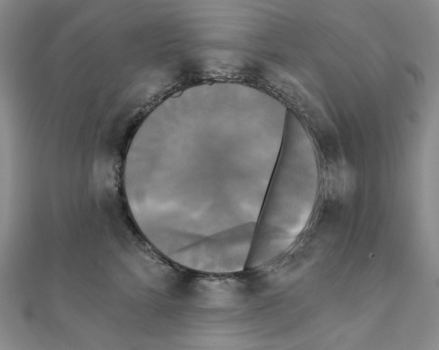 X0000111220712200908131101