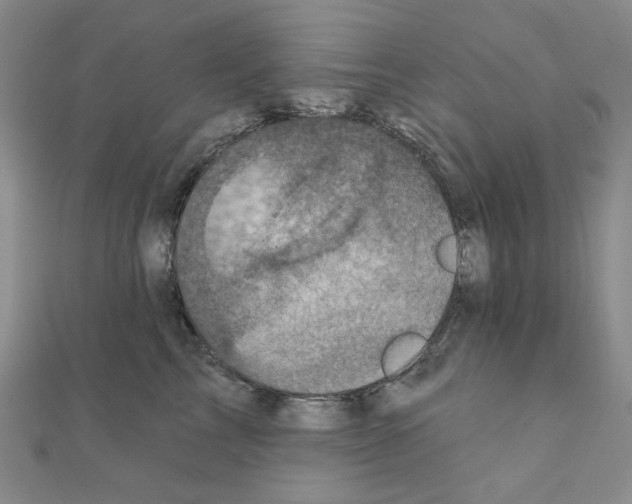 X0000111220713200908131101