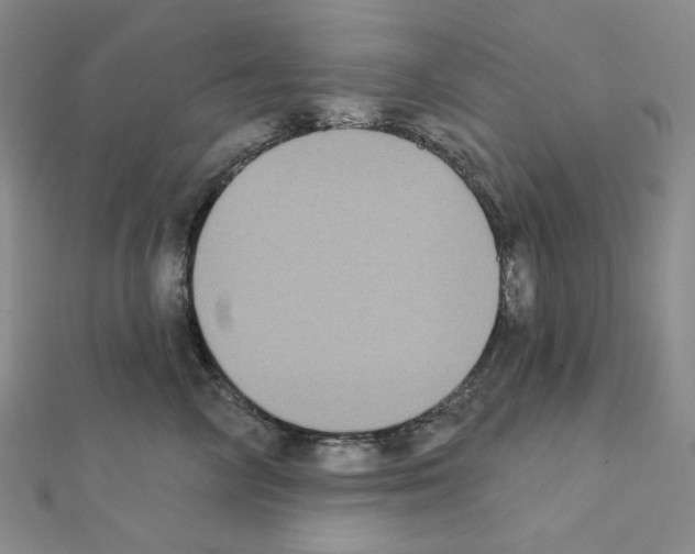 X0000111220714200908131101