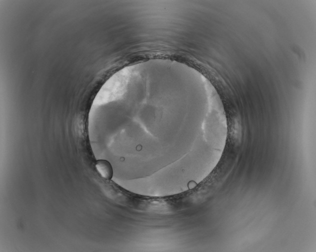 X0000111220715200908131101