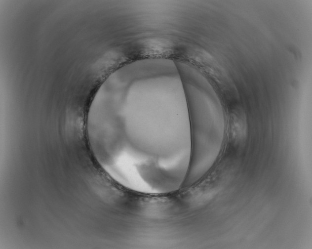 X0000111220716200908131101