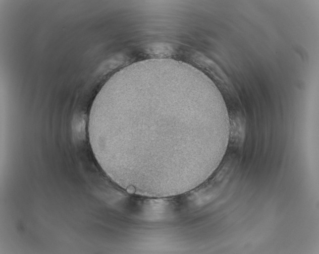 X0000111220717200908131101