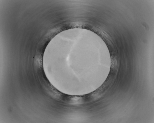 X0000111220718200908131101