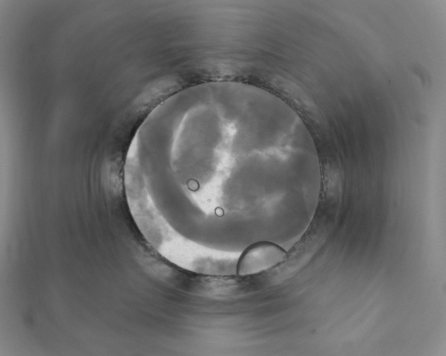 X0000111220719200908131101
